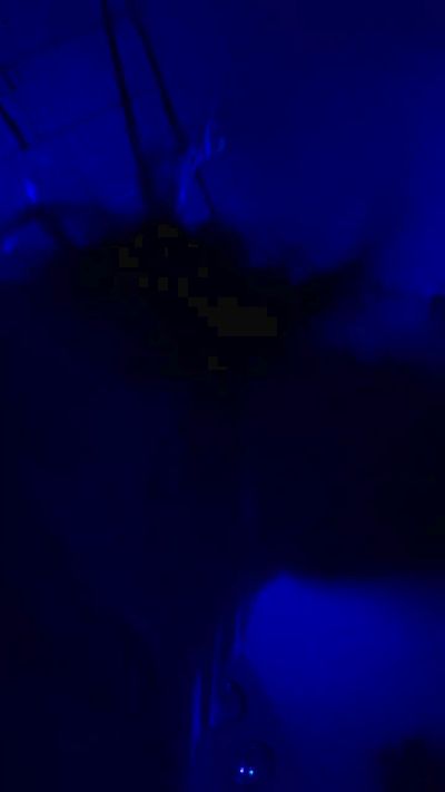 jewelzdeluna's sex show image