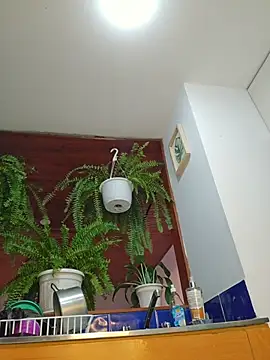 Karen_San_Miguel's sex show image Karen_San_Miguel's sex show image