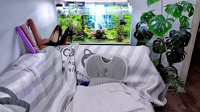 Изображение секс-шоу модели Kimle_squirt