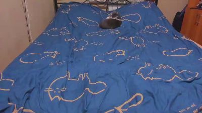 eva_zero's sex show image