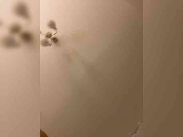 Chikipikin's sex show image