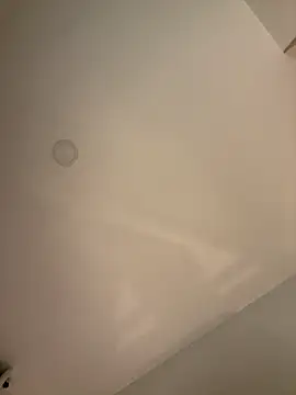 Im_Valentina's sex show image