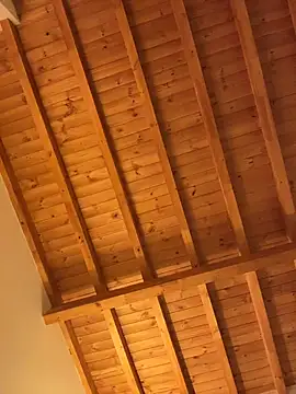 vellaah's sex show image