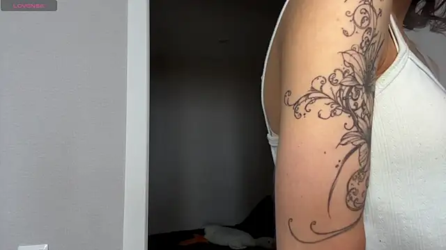 Изображение секс-шоу модели SibleyBurner