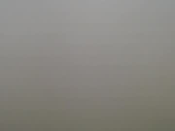 fallonxgray's sex show image fallonxgray's sex show image