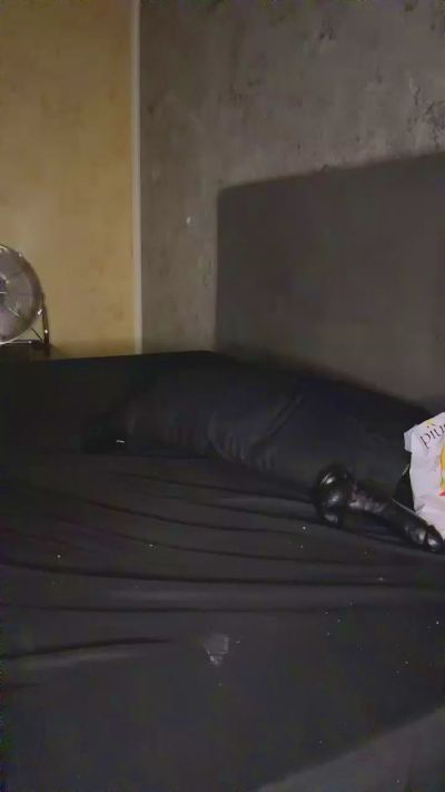 Saraf's sex show image
