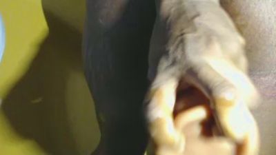 Joycc's sex show image