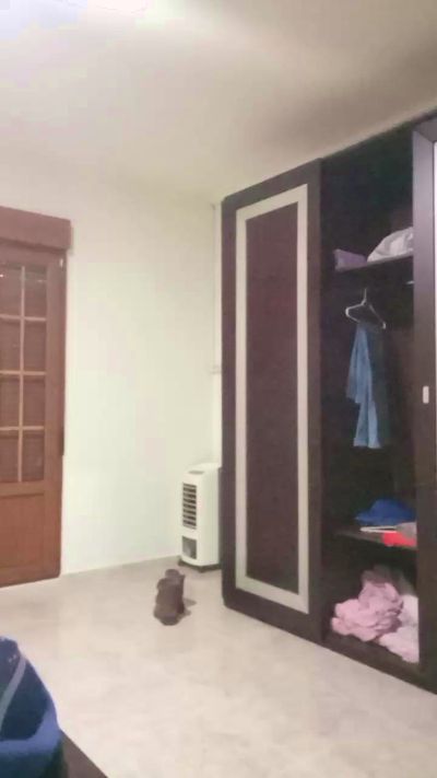 tusmorbosos3's sex show image