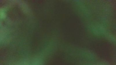 saraa88's sex show image