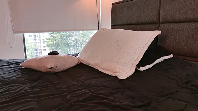 Изображение секс-шоу модели lady_ni_