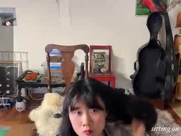 chiloschista's sex show image chiloschista's sex show image