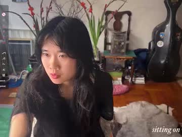 chiloschista's sex show image