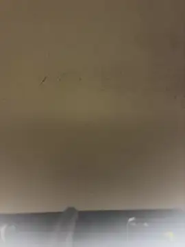 Sexshow-Bild von SLNatasha