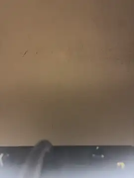 Sexshow-Bild von SLNatasha