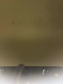 Sexshow-Bild von SLNatasha