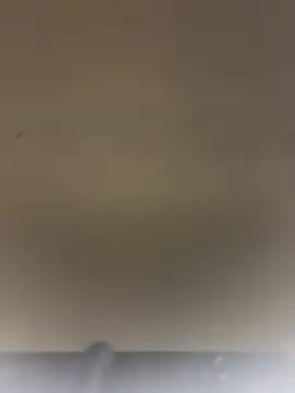 Sexshow-Bild von SLNatasha