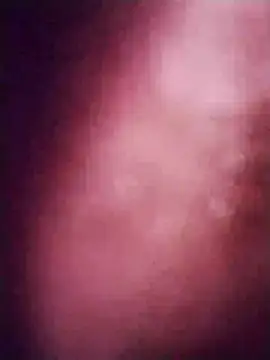 Изображение секс-шоу модели kiara-simmi