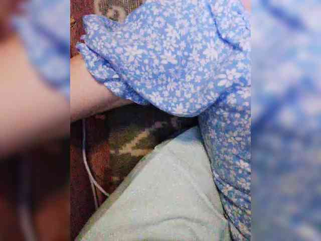 Isabel-LM's sex show image