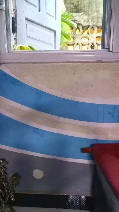 elysa20's sex show image