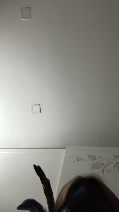 Merytredici's sex show image