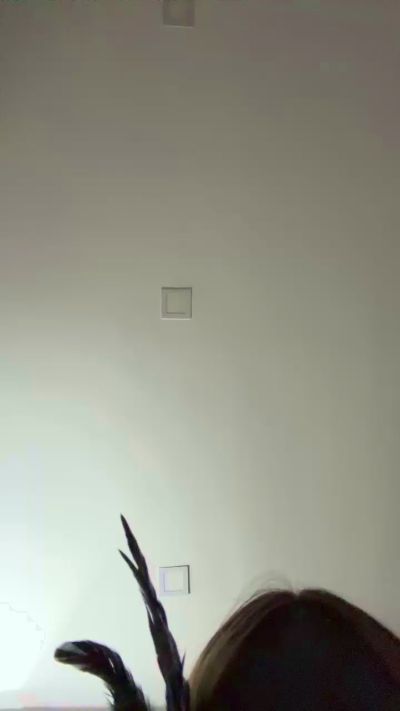 Изображение секс-шоу модели Merytredici