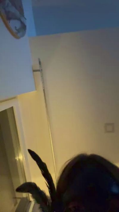 Изображение секс-шоу модели Merytredici