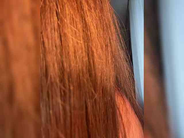 Sexshow-Bild von Pleasure-