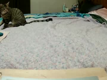 boredcountrygirl's sex show image