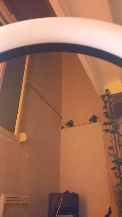 Beurette33sexy's sex show image Beurette33sexy's sex show image