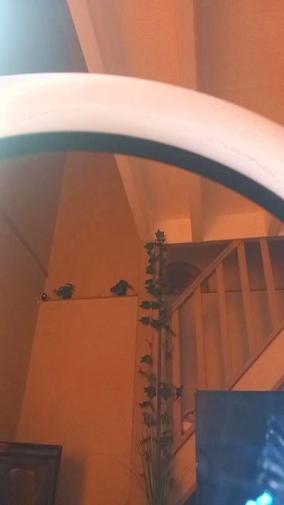 Beurette33sexy's sex show image Beurette33sexy's sex show image