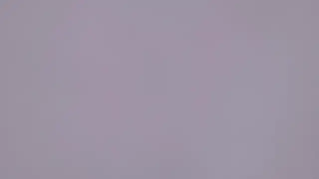 yang-yang-yang's sex show image