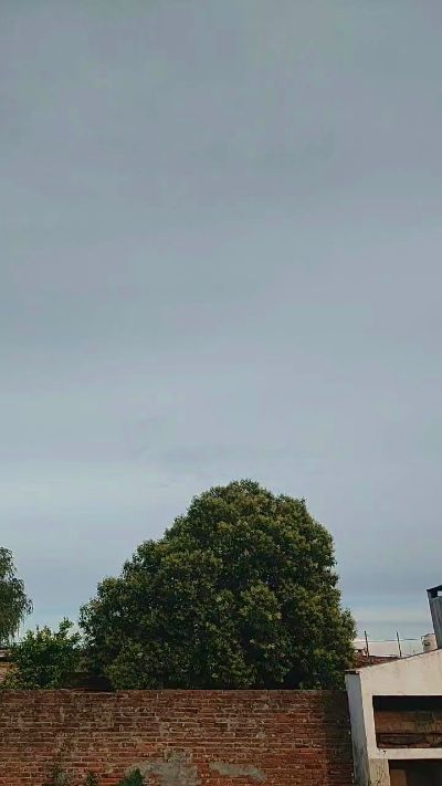 Anirock90's sex show image