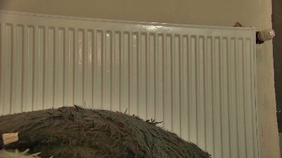 curvyanNa69's sex show image