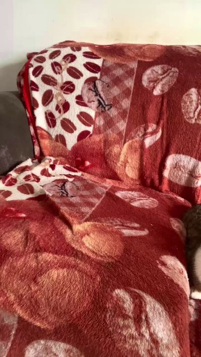 Изображение секс-шоу модели Ninfaan