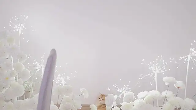 SpiderIily's sex show image