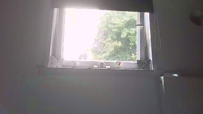 Sexshow-Bild von Brandyxo