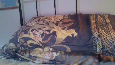 Изображение секс-шоу модели ElenaRey