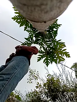 llomayy-love's sex show image