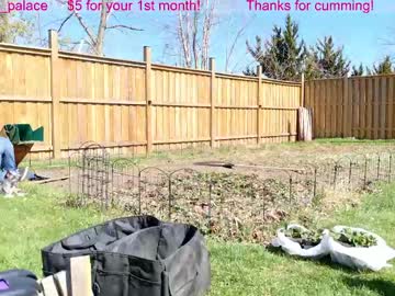 Sexshow-Bild von ells_palace