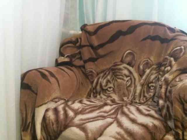 Sexshow-Bild von zaykazzz111