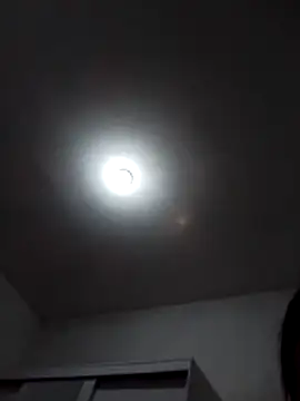 Sexshow-Bild von Bbgirl2244