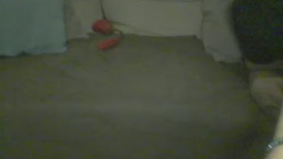 sapessi3's sex show image