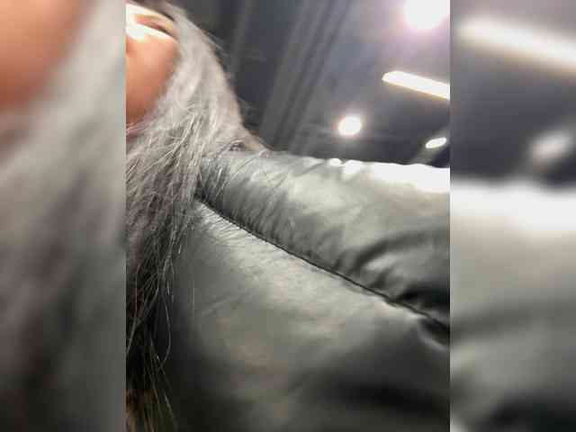 -Wild-Cat-'s sex show image