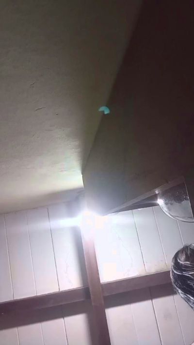 marti303's sex show image