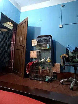 124pakhi's sex show image