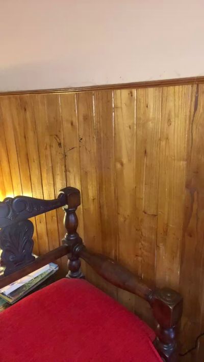 Jan3Bloss0m's sex show image Jan3Bloss0m's sex show image