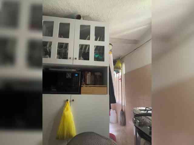 Изображение секс-шоу модели SallyeLeins