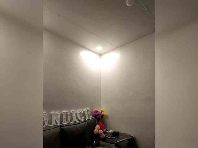 Изображение секс-шоу модели candicelovee