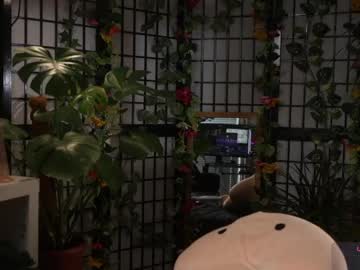 delitevip's sex show image