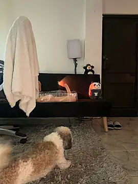 Sexshow-Bild von aly_golden_ Sexshow-Bild von aly_golden_